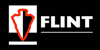 Flint Energy Services